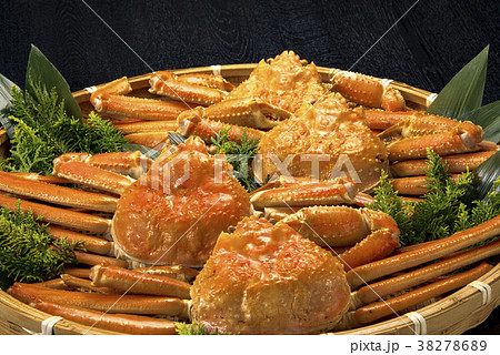 日本の美味しい蟹 日本の美味しい蟹 38278689