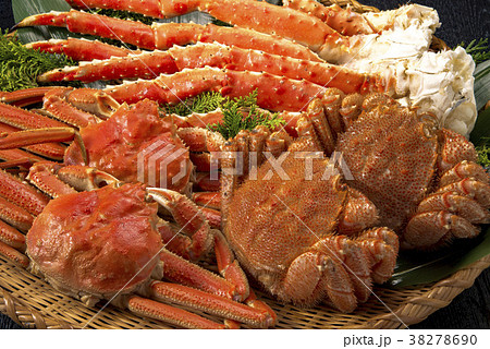日本の美味しい蟹 日本の美味しい蟹 38278690