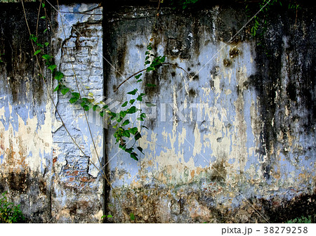 wall wall 38279258