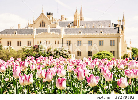 Majestic Lednice castle with flowering tulips Majestic Lednice castle with flowering tulips 38279992