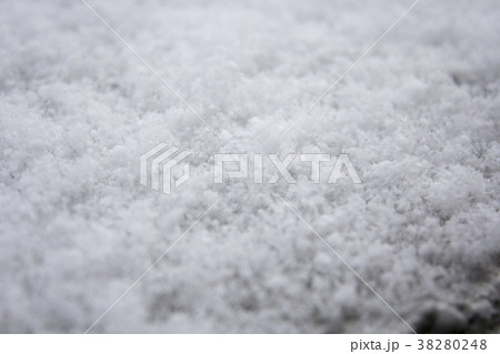 雪 38280248
