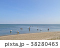 青空の下の潮干狩り 38280463