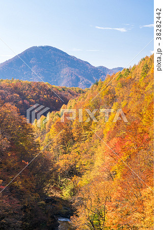 Nakatsugawa Fukushima Autumn Nakatsugawa Fukushima Autumn 38282442