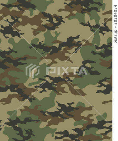 Fashionable camouflage pattern 38284054