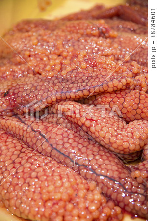 鮭の魚卵 鮭の魚卵 38284601