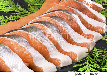 鮭の姿切り 鮭の姿切り 38284902