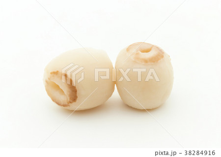 蓮の種子:Lotus seeds 蓮の種子:Lotus seeds 38284916