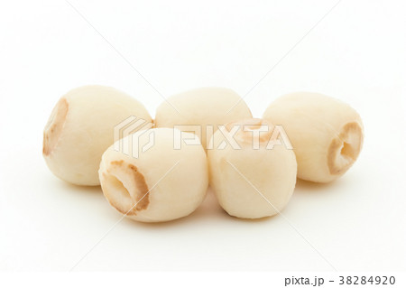 蓮の種子:Lotus seeds 蓮の種子:Lotus seeds 38284920
