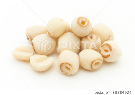 蓮の種子:Lotus seeds 蓮の種子:Lotus seeds 38284924