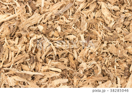 ヨウシュヤマゴボウ:poke root ヨウシュヤマゴボウ:poke root 38285046