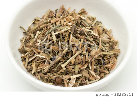 ヒソップ：Hyssop 38285511