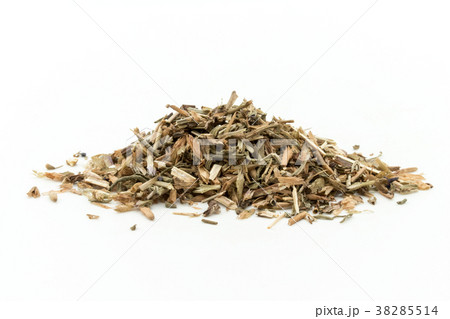 ヒソップ:Hyssop ヒソップ:Hyssop 38285514