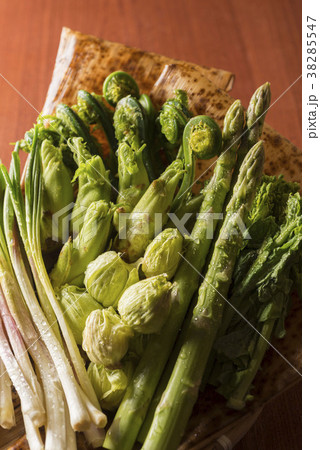 春になると美味しい山菜 38285547