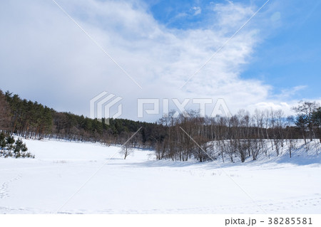 雪原 雪原 38285581