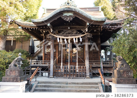 元住吉住吉神社 38286373