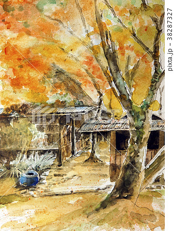 嵐山　亀山公園　紅葉　京都 38287327