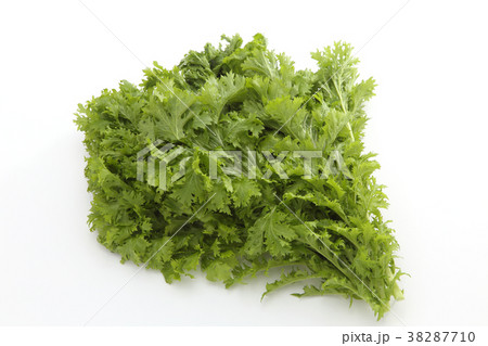 わさび菜 38287710