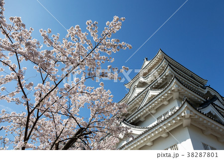 福山城 (4月 桜 晴れ) 福山城 (4月 桜 晴れ) 38287801