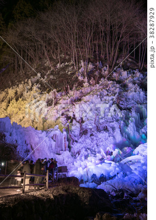 あしがくぼの氷柱　ライトアップ 38287929