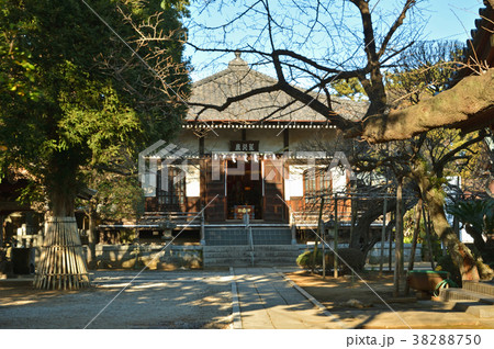 下総中山散歩：遠寿院　正中山法華経寺 38288750