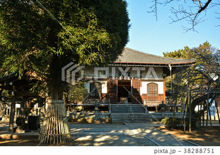 下総中山散歩：遠寿院　正中山法華経寺 38288751