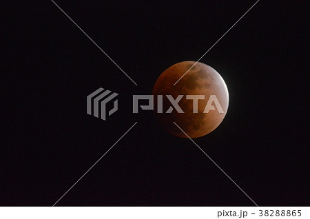 皆既月食〜食の最大（東京都立川市／2018年1月31日。21:50撮影） 38288865