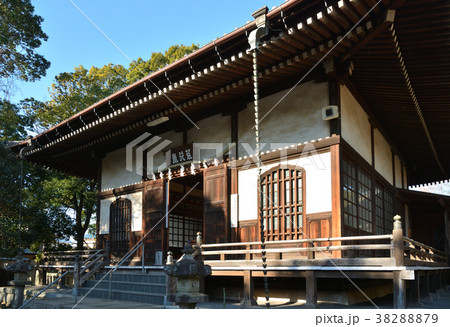 下総中山散歩：遠寿院　正中山法華経寺 38288879
