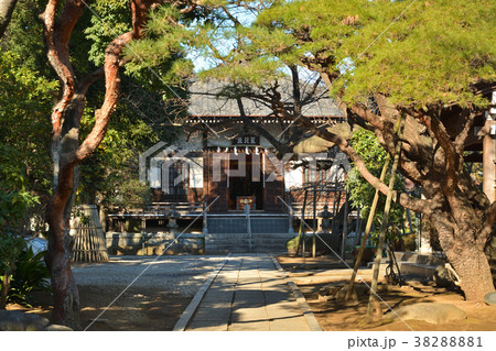 下総中山散歩:遠寿院 正中山法華経寺 下総中山散歩:遠寿院 正中山法華経寺 38288881