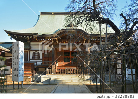 下総中山散歩：遠寿院　正中山法華経寺 38288883