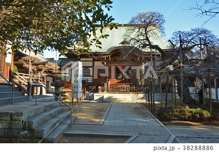 下総中山散歩：遠寿院　正中山法華経寺 38288886