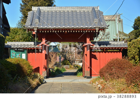 下総中山散歩：安世院　正中山法華経寺 38288893