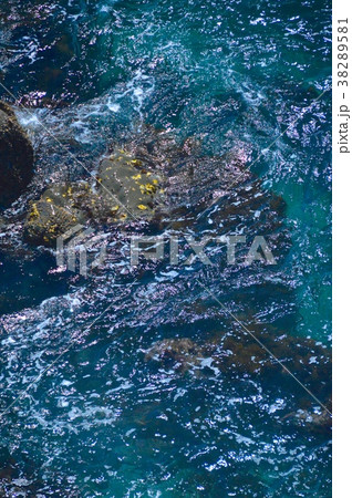 潮流･岩礁（桂浜･下竜頭岬／高知県高知市浦戸） 38289581