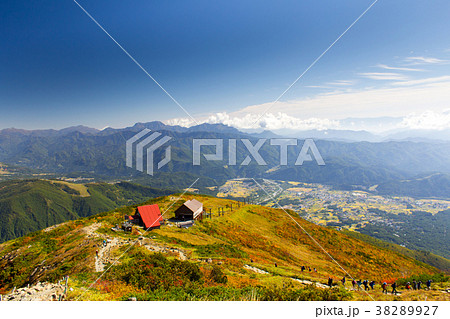 白馬八方尾根の紅葉／長野県白馬村 38289927