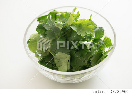 パクチー 38289960
