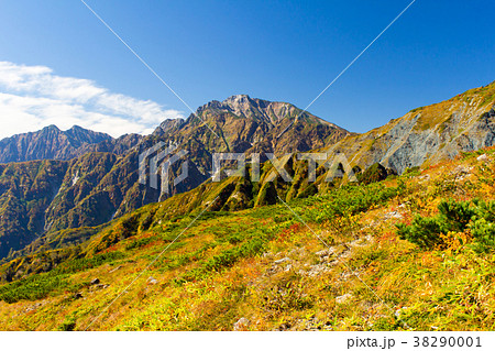 白馬八方尾根の紅葉 白馬五竜岳 長野県白馬村の写真素材