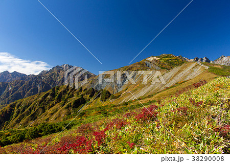 白馬八方尾根の紅葉 白馬五竜岳 長野県白馬村の写真素材