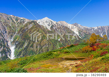 白馬八方尾根の紅葉 長野県白馬村の写真素材