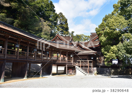 金刀比羅宮の拝殿・本殿 38290648