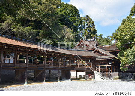 金刀比羅宮の拝殿・本殿 38290649