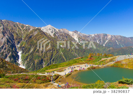 白馬八方尾根の紅葉 八方池 長野県白馬村の写真素材 3907