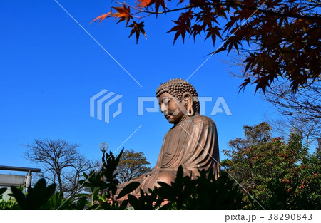 聚楽園大仏と紅葉 聚楽園大仏と紅葉 38290843