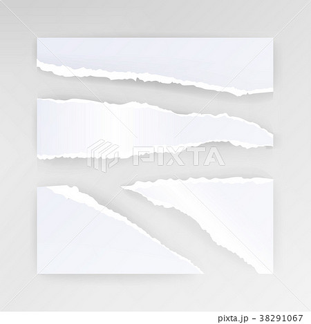 Torn Paper Blank Vector のイラスト素材