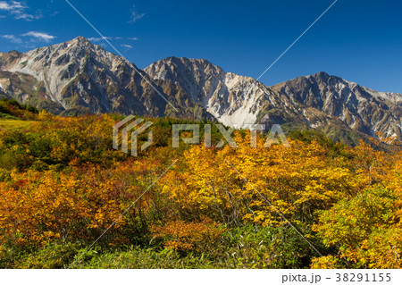 白馬八方尾根の紅葉 長野県白馬村の写真素材