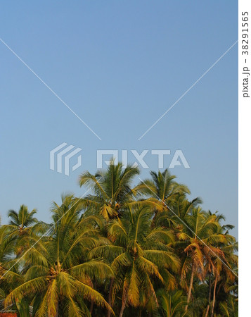 バックウォータークルーズ 38291565