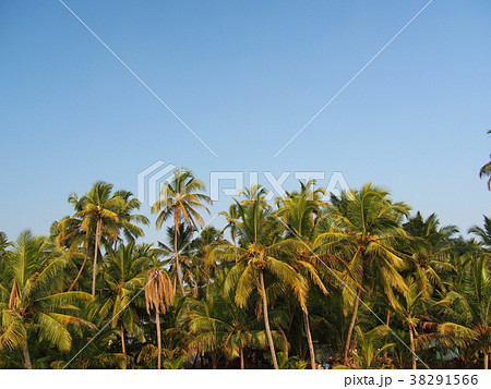 バックウォータークルーズ 38291566