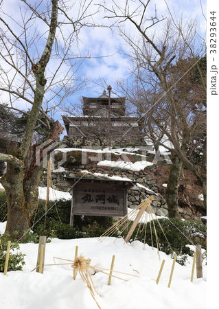 平成30年豪雪10日後の丸岡散策 丸岡城（福井県 坂井市 丸岡町） 38293644