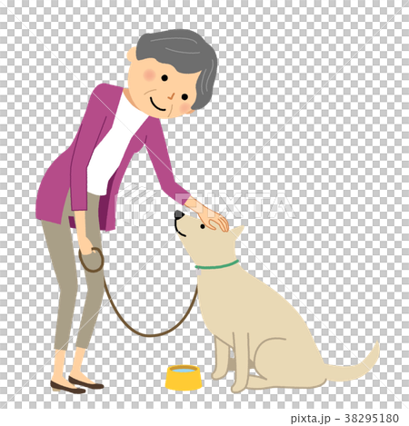 シニア女性　おばあちゃん　犬の散歩 38295180