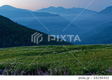 北アルプス・太郎平から雲ノ平・槍ヶ岳方面の夜明け 38296402