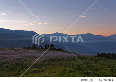 北アルプス・太郎平から雲ノ平・水晶岳方面の夜明け 38296403