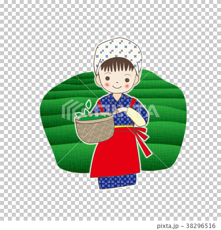 茶摘み 八十八夜 娘 38296516
